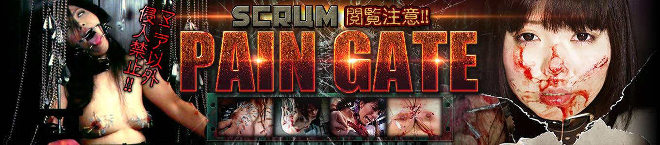 ペインゲート 拷問動画